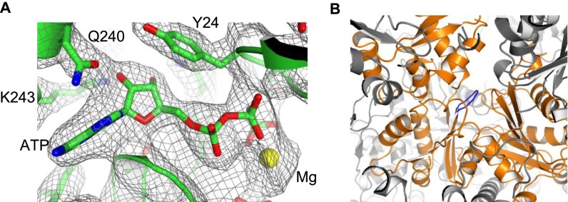 Fig. S9.