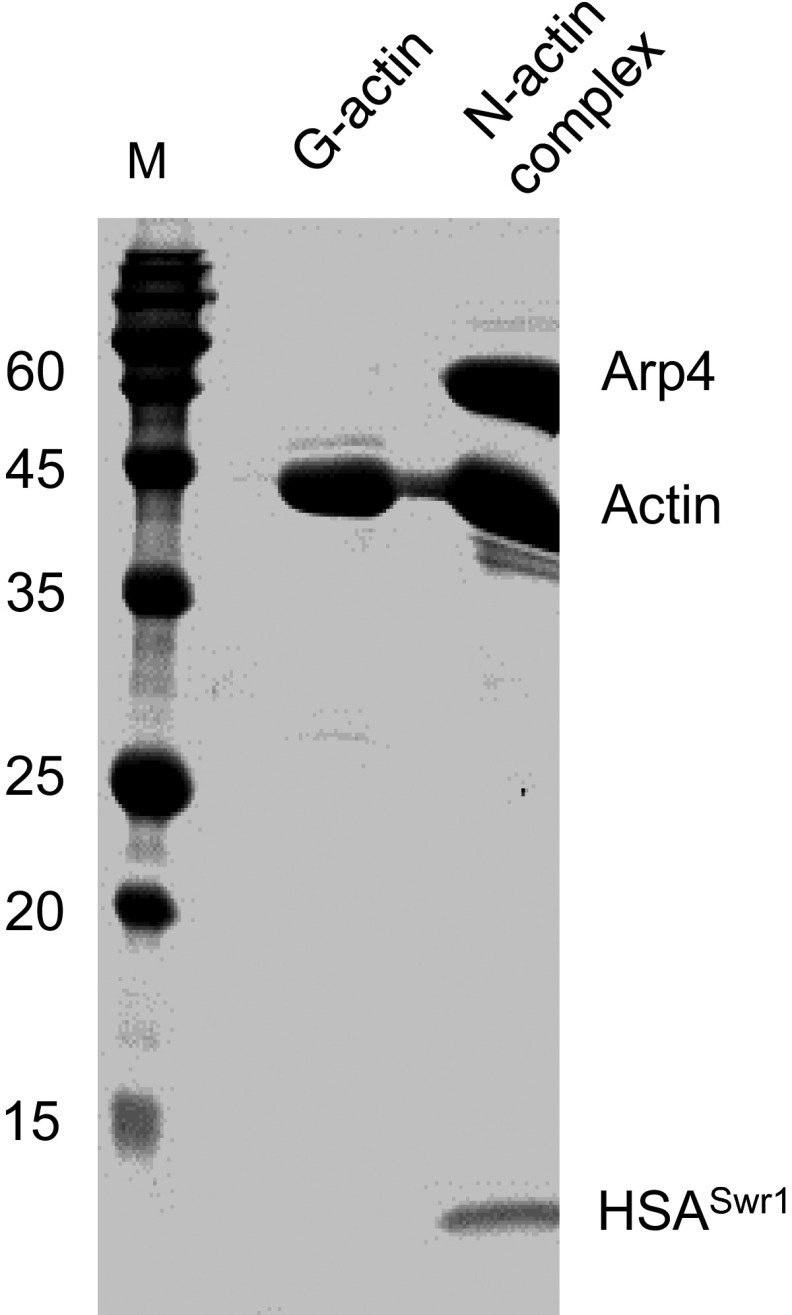 Fig. S1.