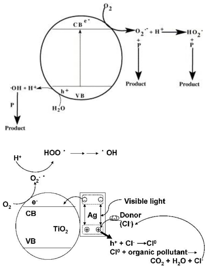 Figure 21