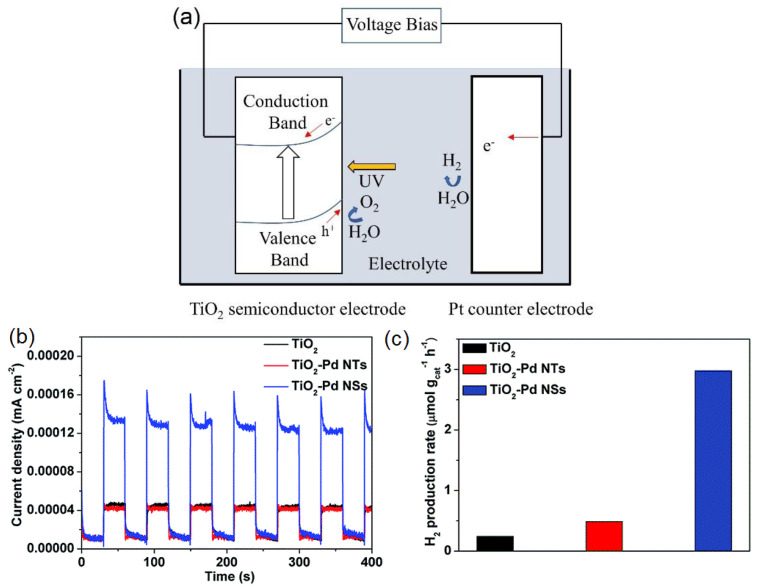 Figure 24