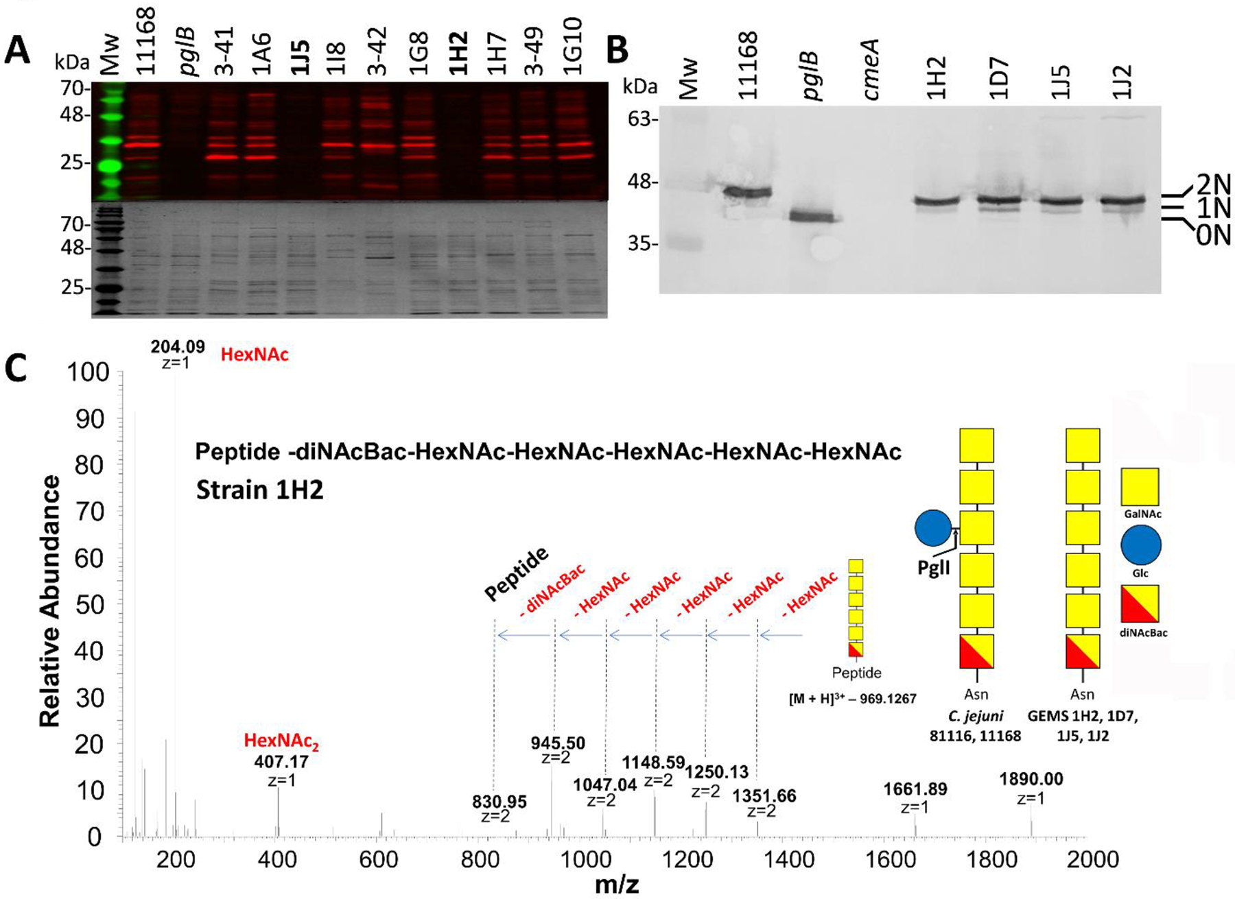 Figure 1.