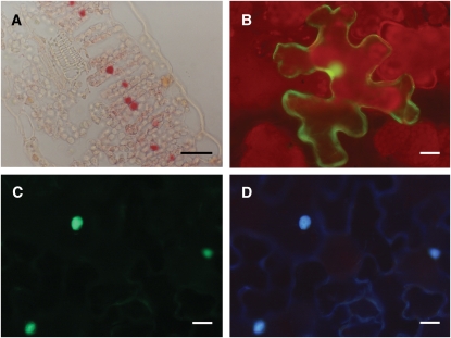 Figure 2.