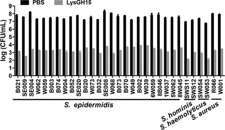 FIG 1