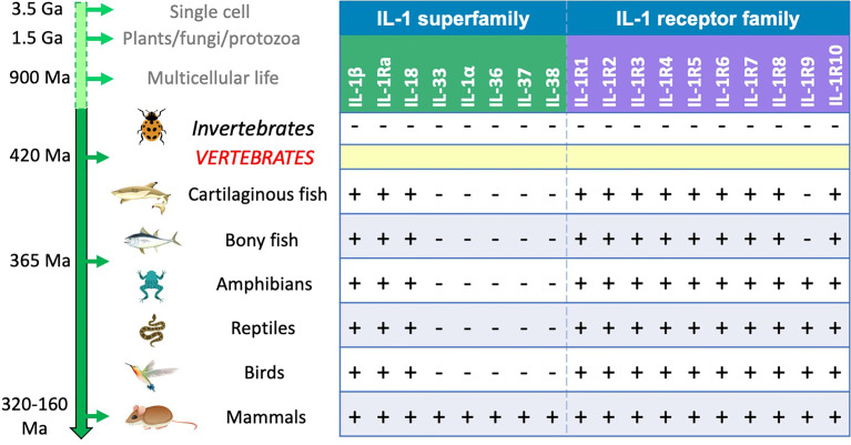 Figure 1