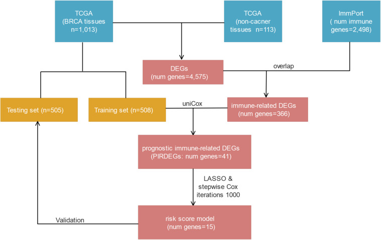 FIGURE 1