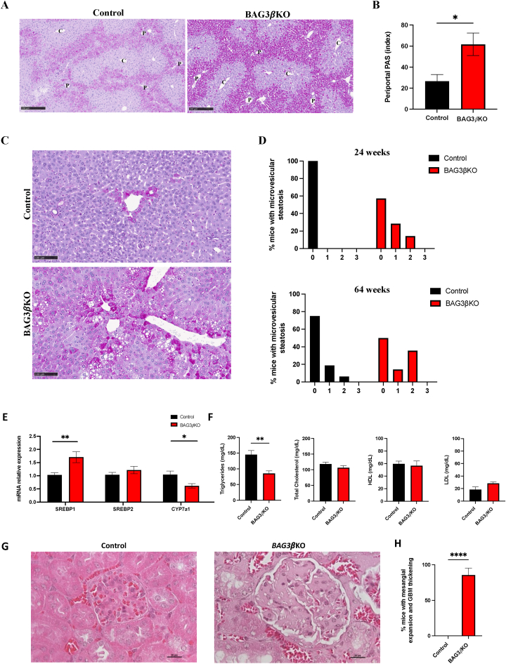 Figure 6