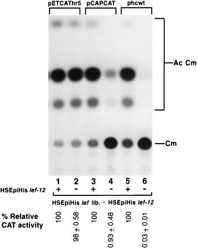 FIG. 5