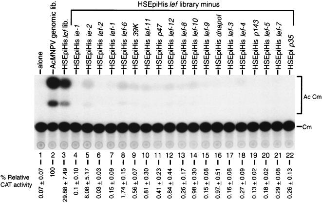 FIG. 6