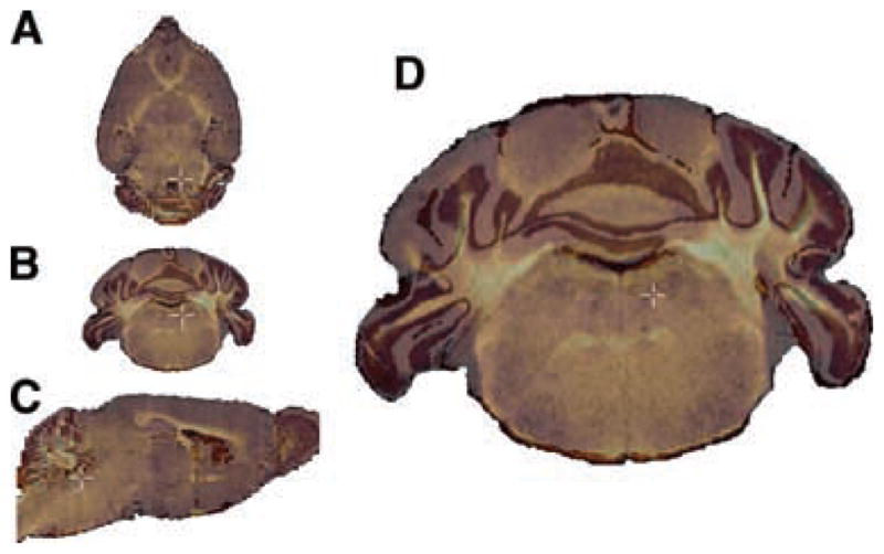 FIG. 3