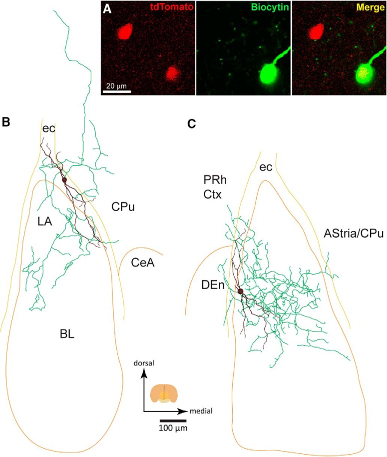 Figure 3.