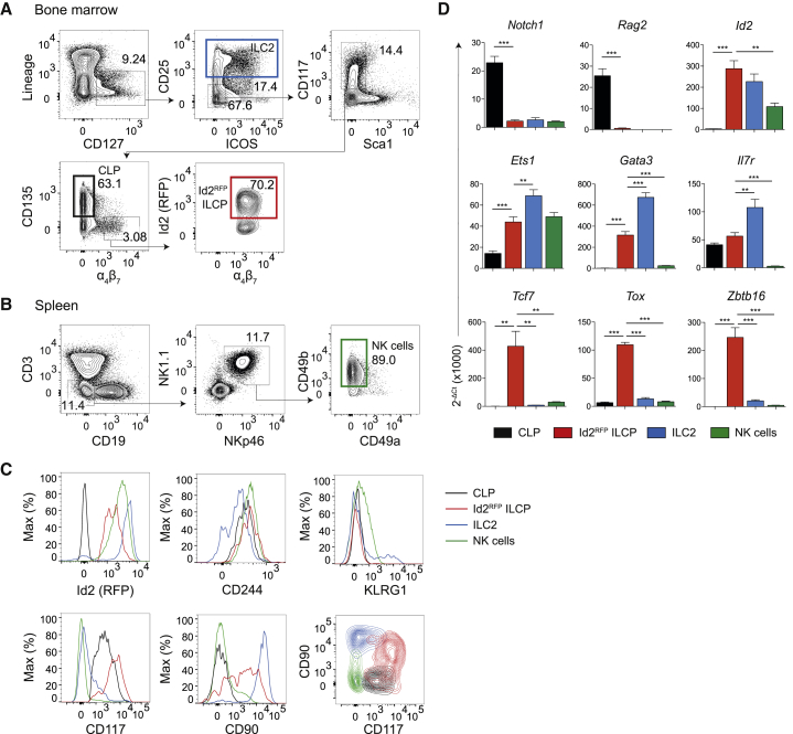 Figure 2