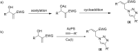 Scheme 2