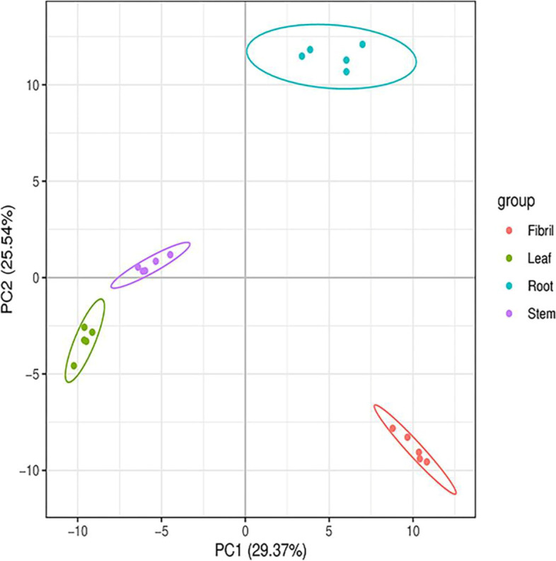 Fig. 8