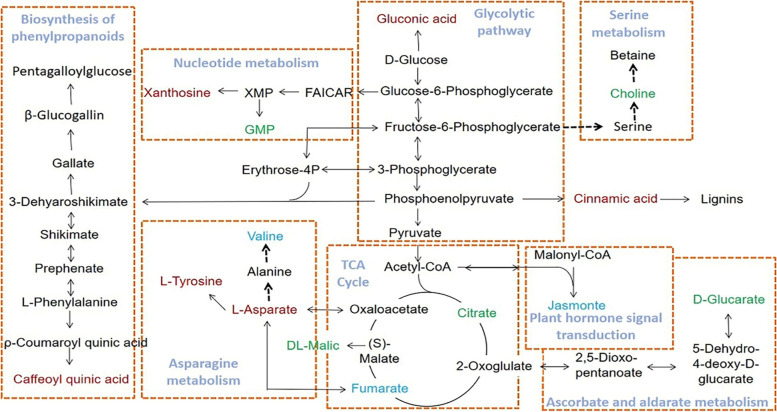 Fig. 9