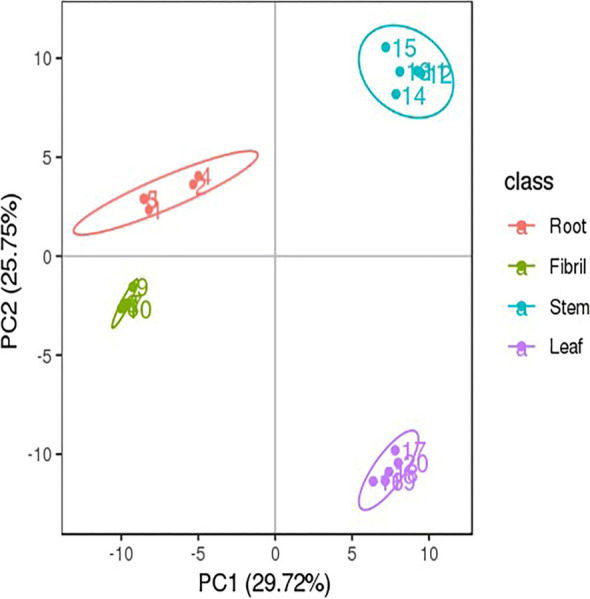 Fig. 7