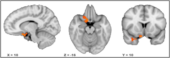 Fig. 5.