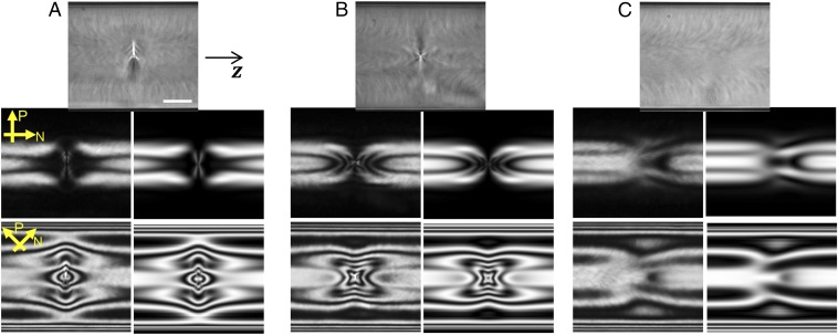 Fig. 3.