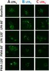 Fig 15