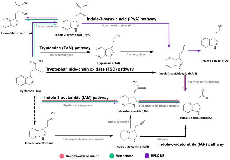 Figure 5