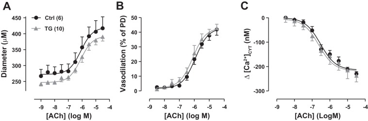 Fig. 11.