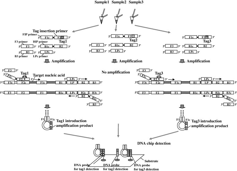 Fig.1