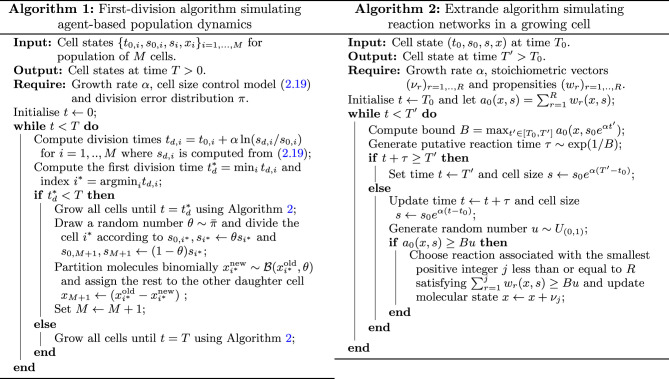 Box 1. First-Division Algorithm for agent-based simulations of size-dependent gene regulatory networks. 