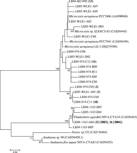 FIG. 2.