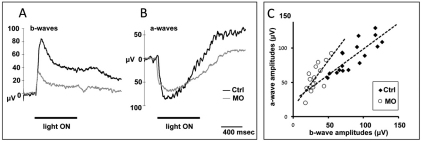 Fig. 8.