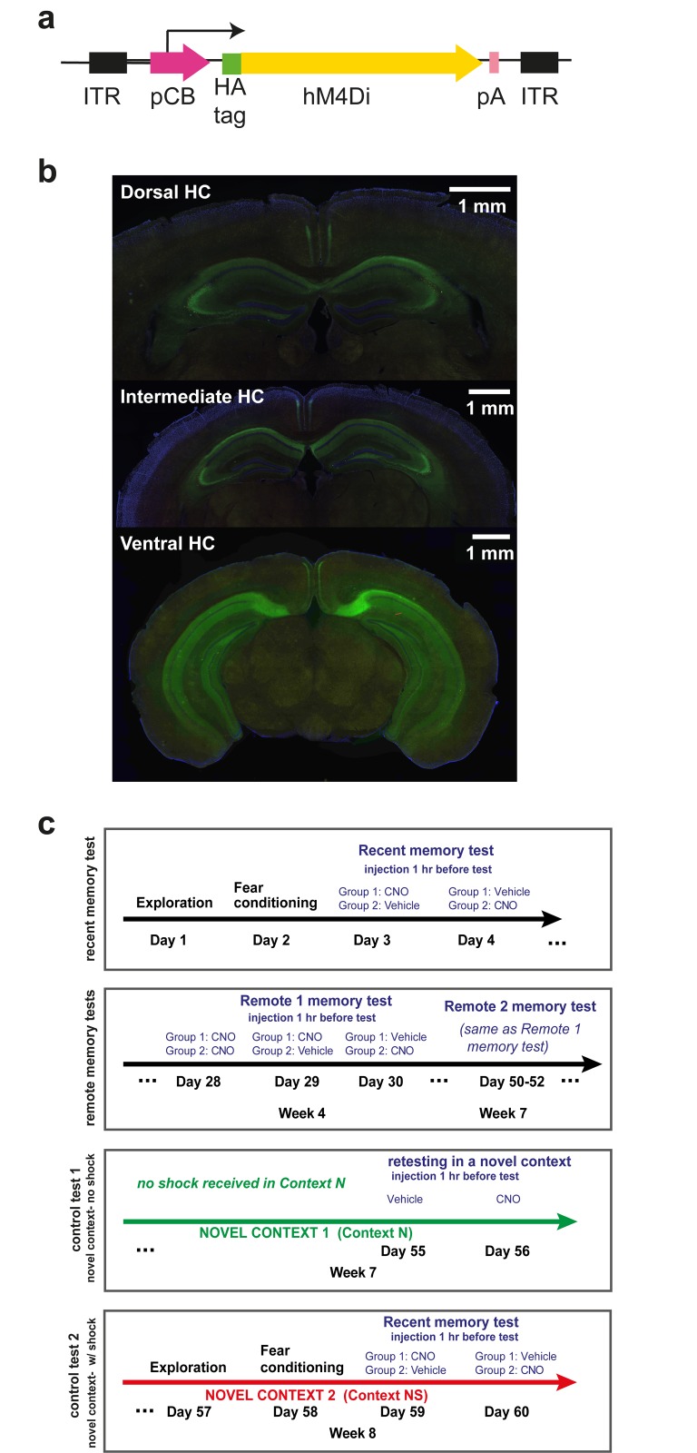 Fig 1