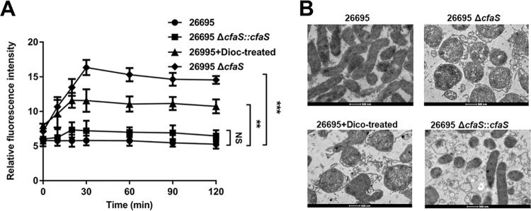 FIG 7