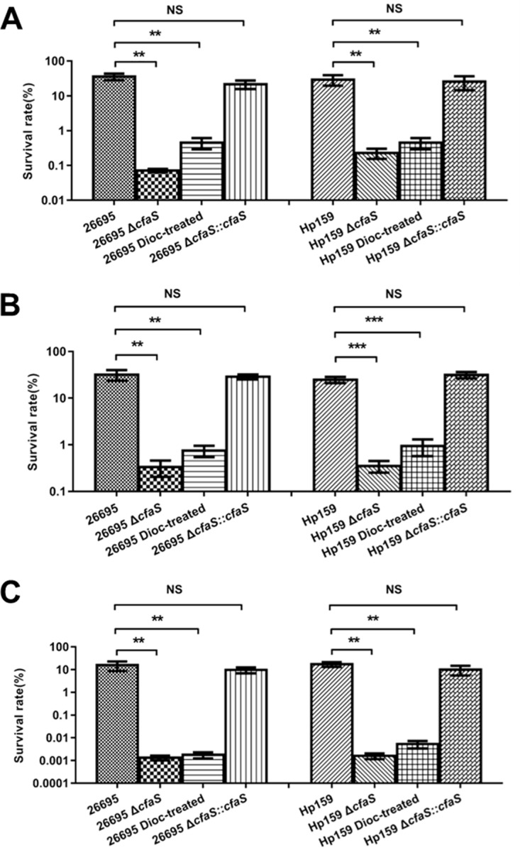 FIG 3