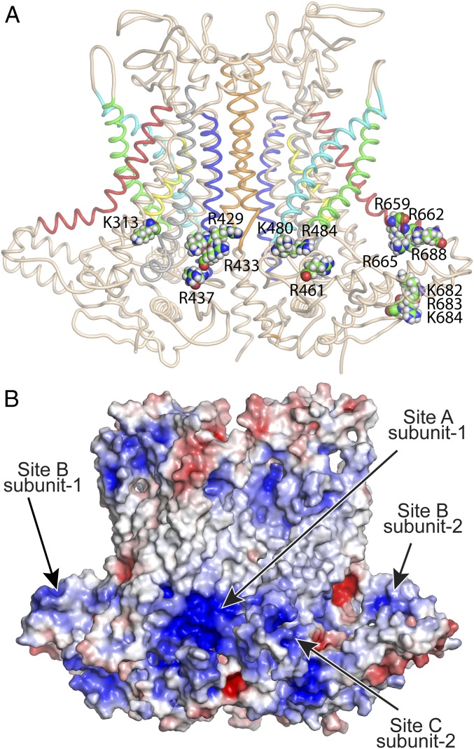 Fig. 4.