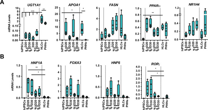 Figure 5—figure supplement 1.