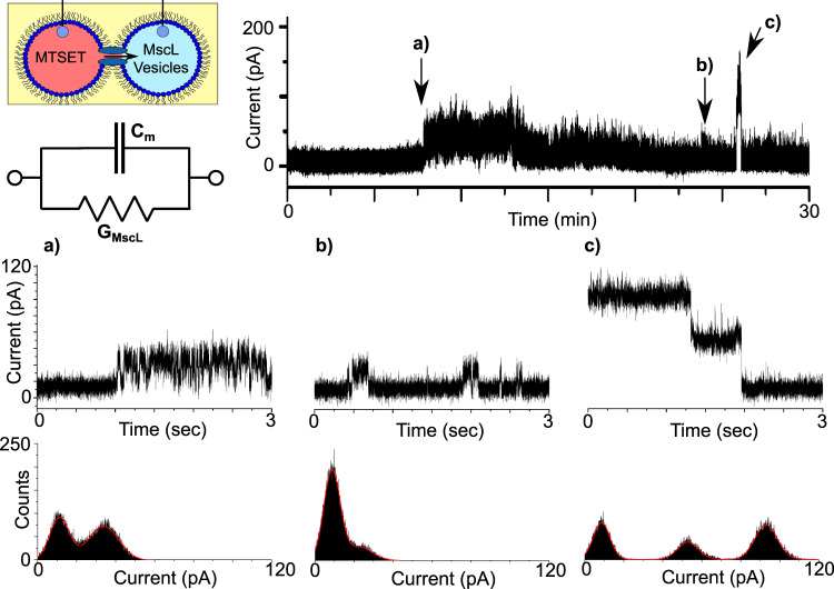 Fig. 3