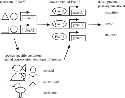 Figure 1.