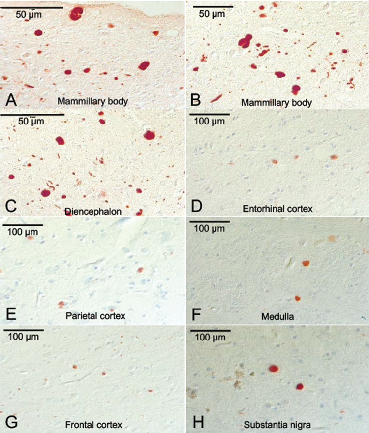 FIGURE 10.