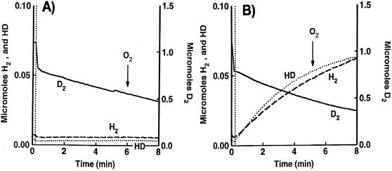 FIG. 5