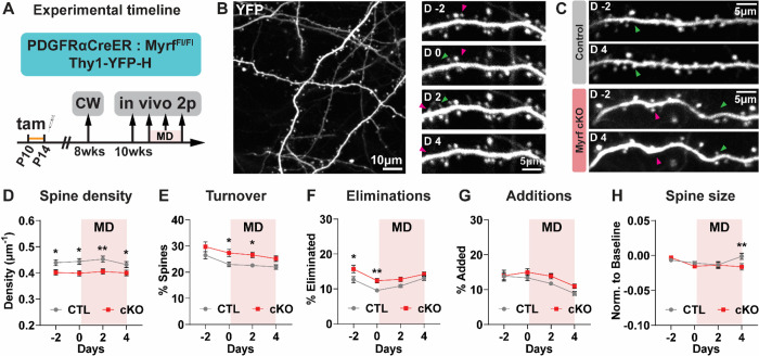 Figure 3 -