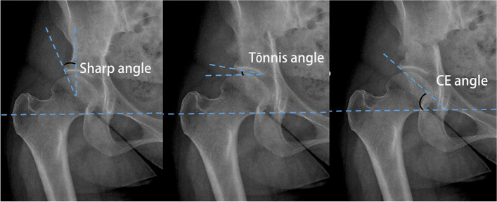 Fig. 2