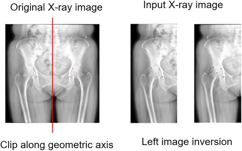 Fig. 4