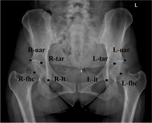 Fig. 3