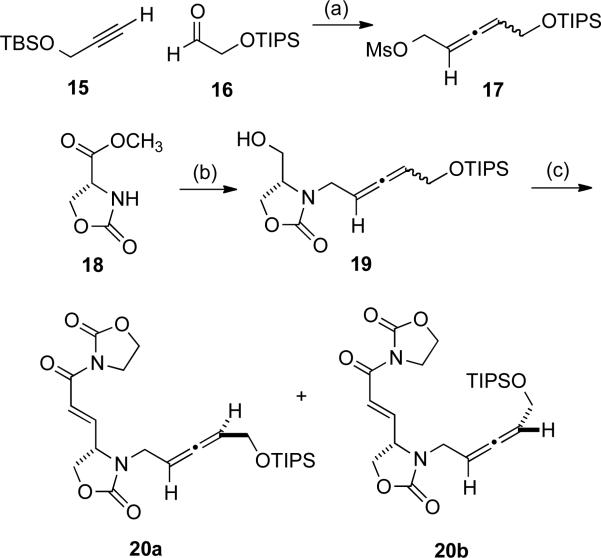 Scheme 5