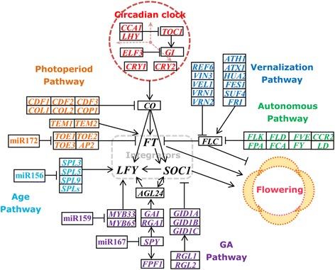 Fig. 6