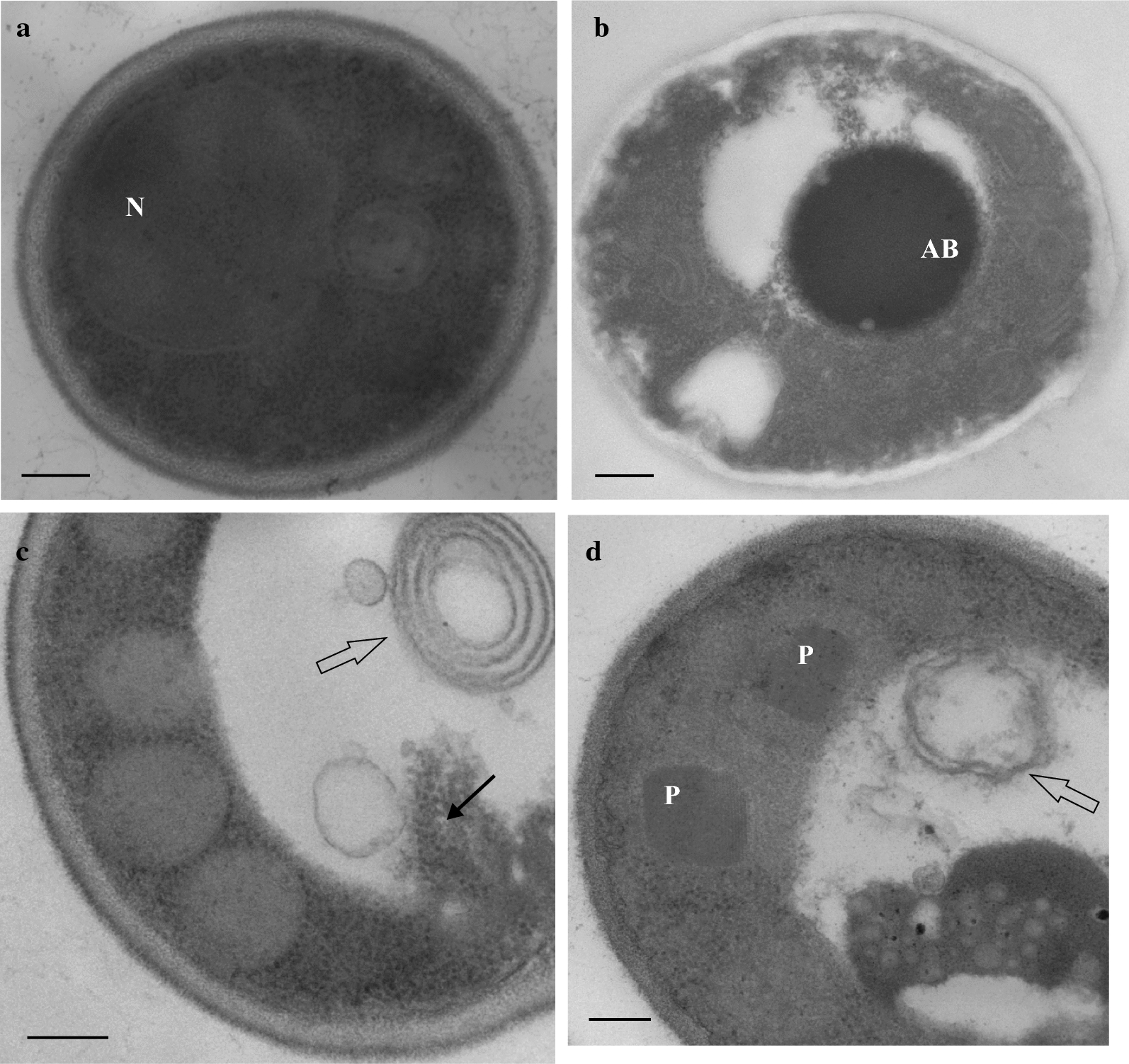 Fig. 2