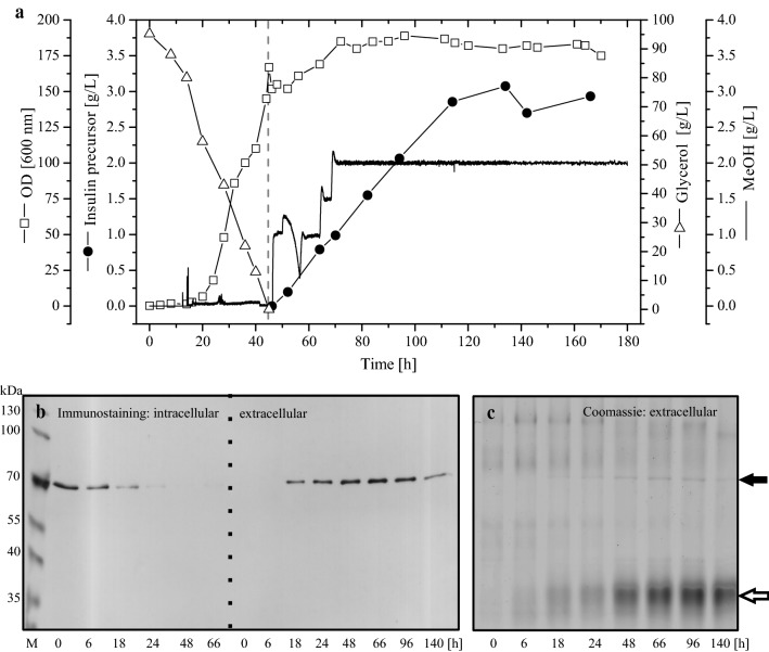 Fig. 4