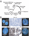 Fig. 1.