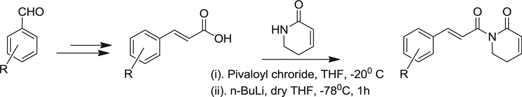 Scheme 4