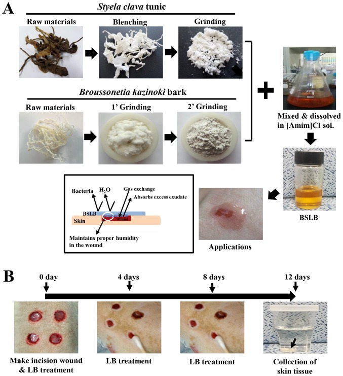 Figure 1.