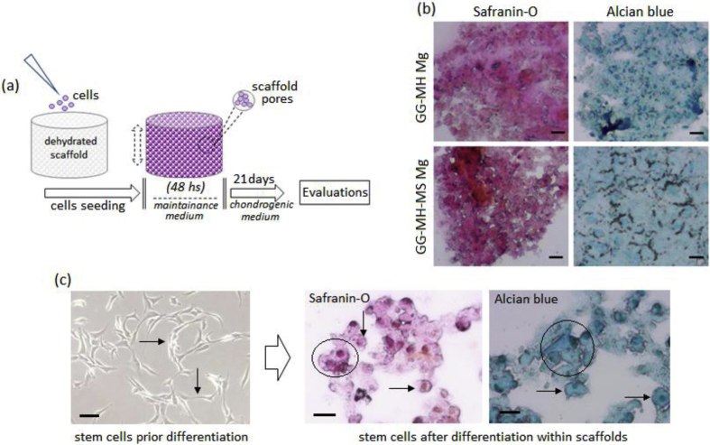 Fig. 3