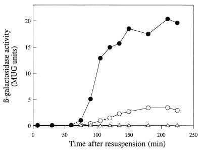 FIG. 8